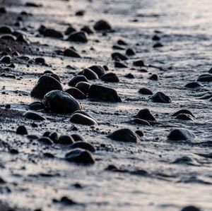 Meet your Posher, Martinez